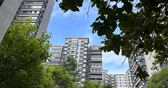 国内中文域名查询系统