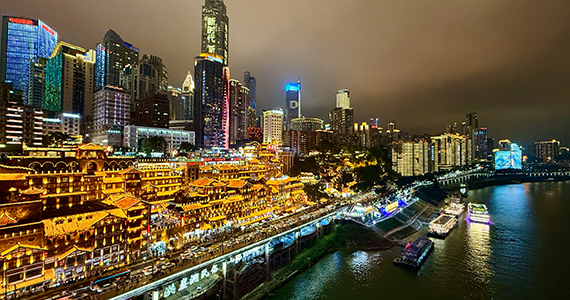 国内英文域名信息查询系统网址