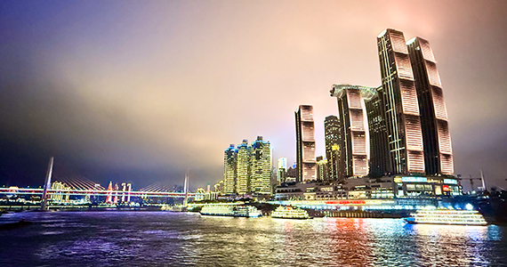 国内中文域名查询网站