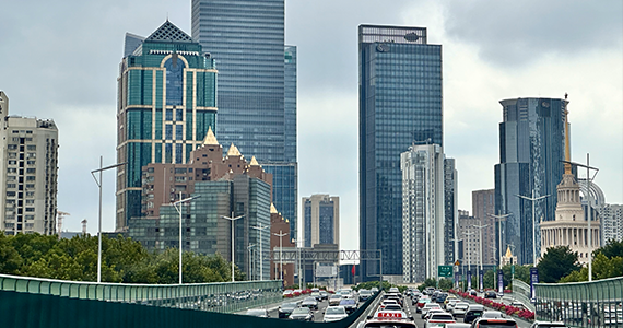 查询国内域名审核情况需进入