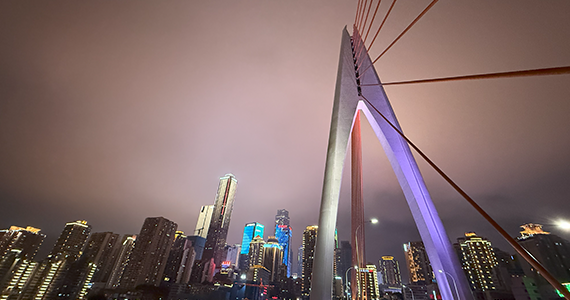 国内com域名信息查询平台官网